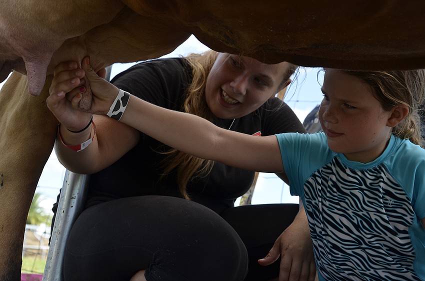 Drenda Pinson with the Sarasota 4-H Livestock Club teaches Sophi Branscomb of Myakka City how to milk Stella the cow.
