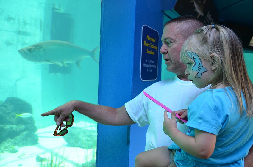 Jim Winemiller and his daughter Charlotte check out sharks and goliath grouper.