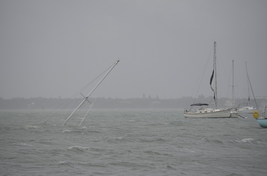 A derelict vessel sinks in Sarasota Bay.