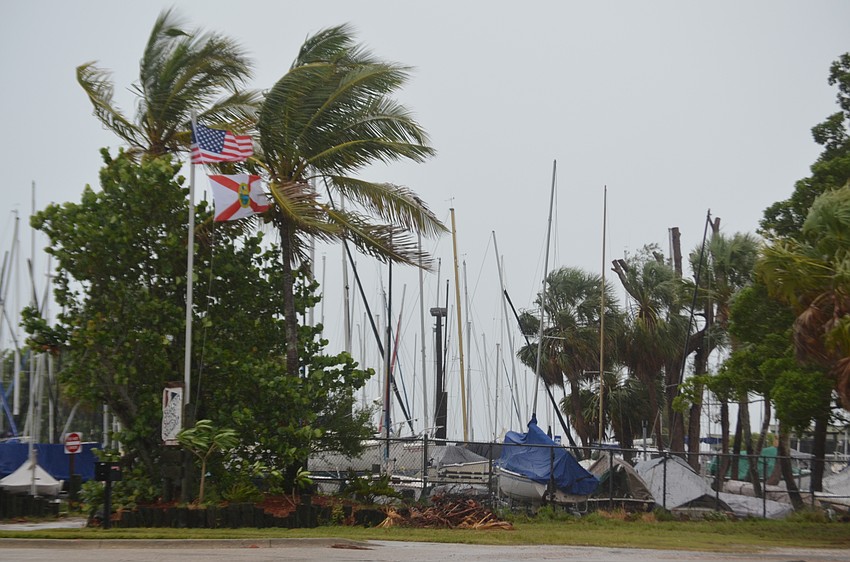 Vessels remain moored as wind pick up at the Sarasota Sailing Squadron.