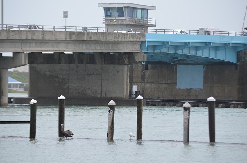 A submerged dock at New Pass Grill hosts a pelican and egret.
