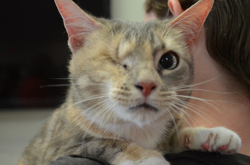 Siya, formerly known as Jelly