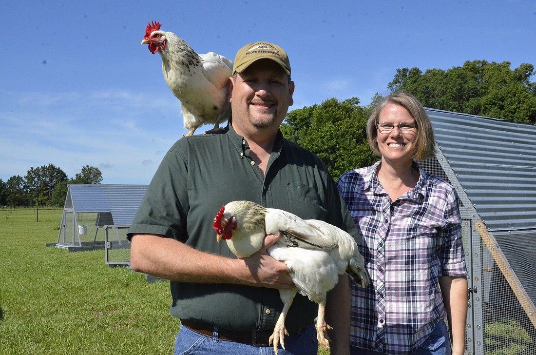 Don and Suzy Gangnagel experimented with several different kinds of chicken breeds, but have settled with three, including the iconic white Delaware.