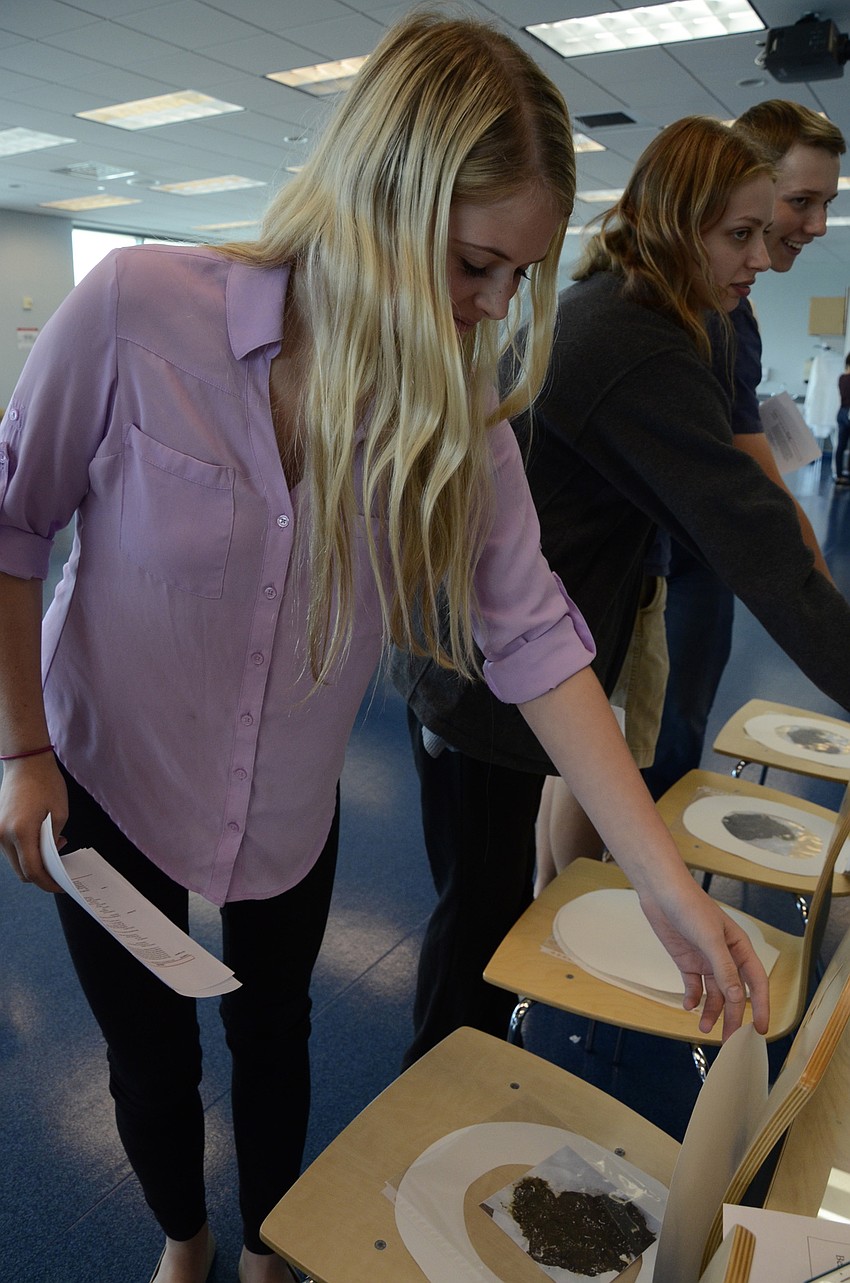 Hannah Reynolds of Lakewood Ranch High School tries to diagnose the fecal specimen in the 