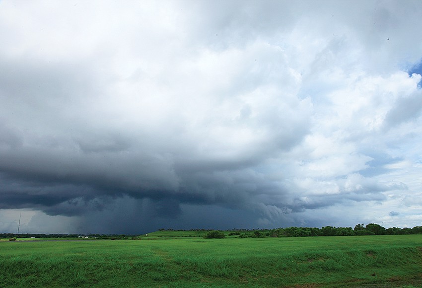 Sarasota weather page photo June 23 Your Observer