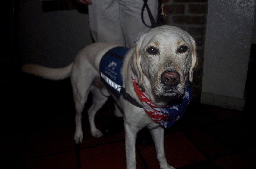 Morgan Watt's service dog, Foley