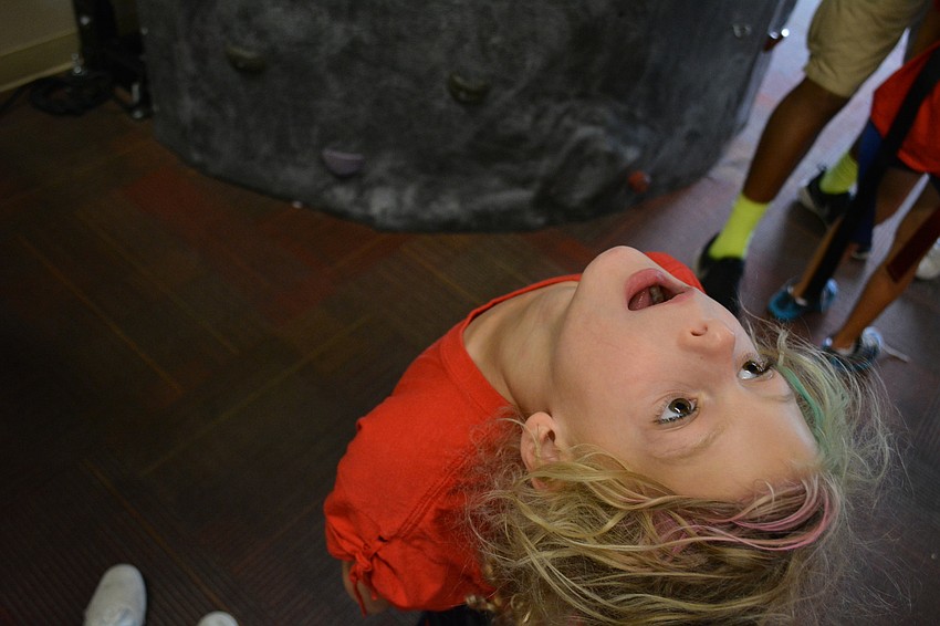 Laylah Camus, 6, stares up at the rock wall before her. She attends Imagine Charter School.
