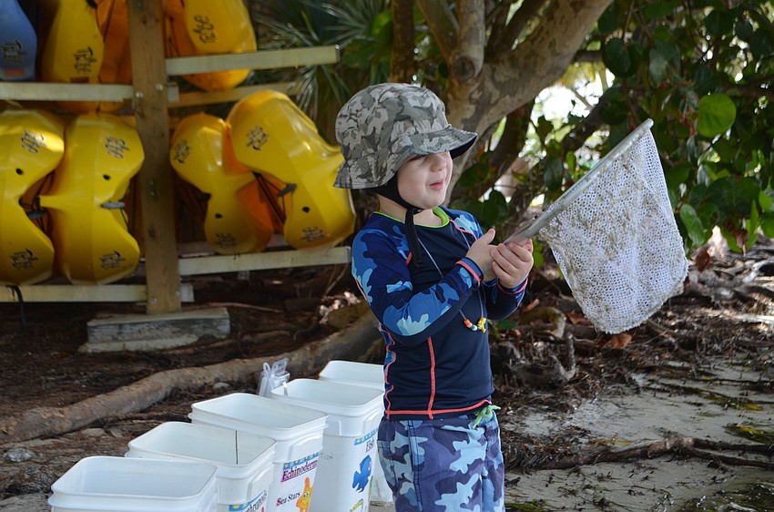 Aiden Paransky, 3, gets ready to dip his net in the water.