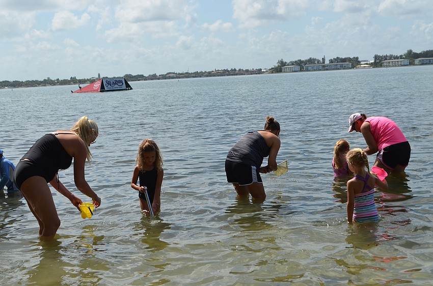 Campers and their guardians use nets to skim the bottom of the bay to catch shrimp, crabs and other small animals.