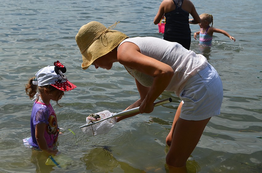 Ellie, 2, and Lisa Otte, check their net for local marine wildlife.
