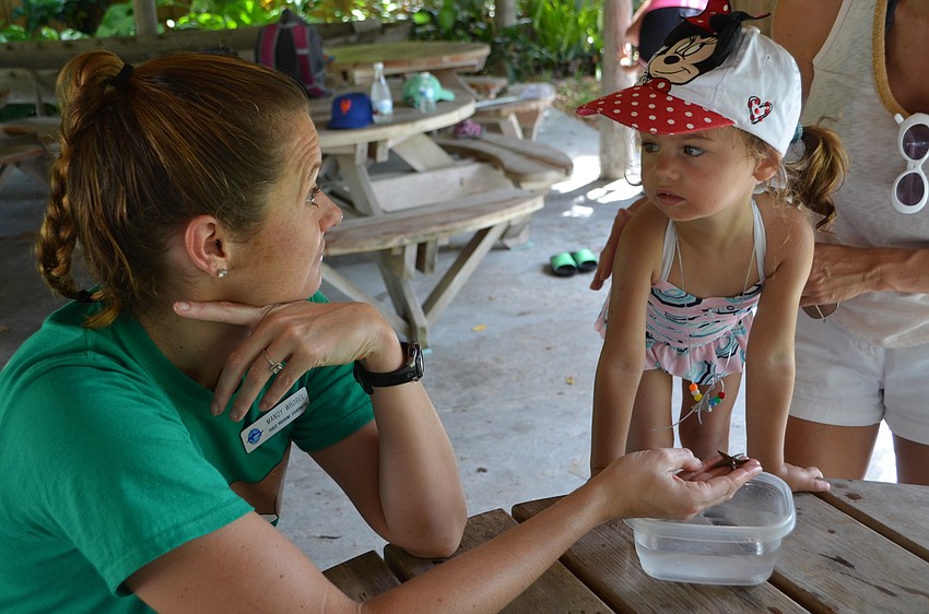 Miranda Wrobel, Public Programs Coordinator at Mote, holds a starfish for Ellie Otte, 2.