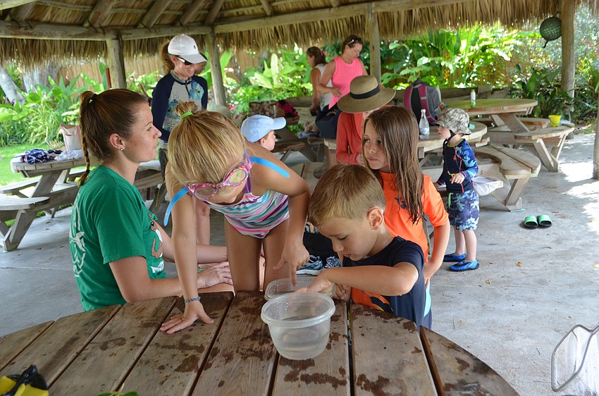 Makaela Leader, 4, and Harry Duke, 5, check out the marine wildlife campers found in the water