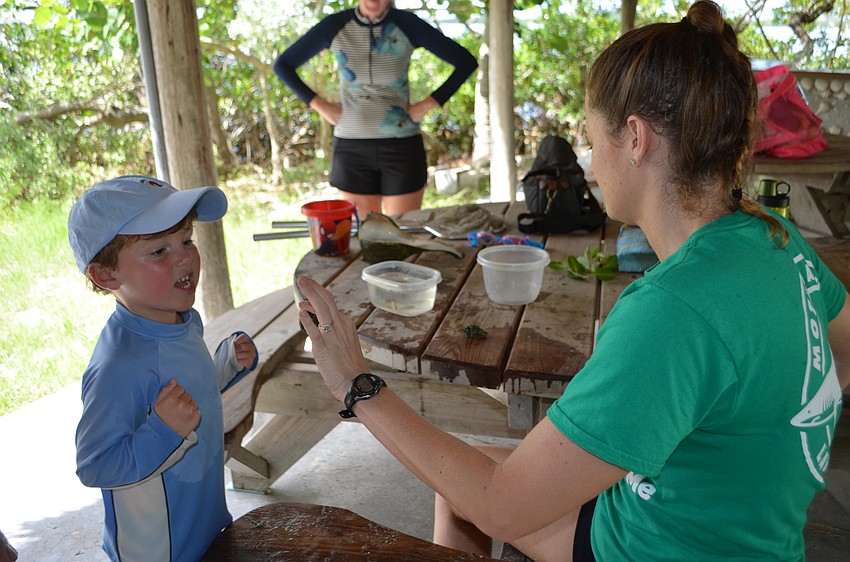 Harry Duke, 5, looks at the grand conch shell Mirando Wrobel, the Public Programs Coordinator at Mote, is holding.