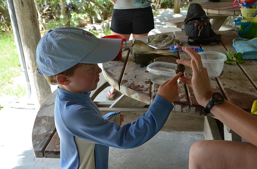 Harry Duke, 5, takes a turn feeling the grand conch shell found during “The Coast Counts” camp.