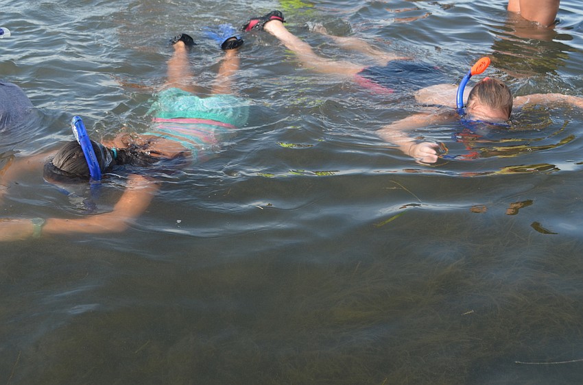 Sophia Riesen, 12, and Jordan Roche, 12, snorkel during one of Mote’s various summer camps.