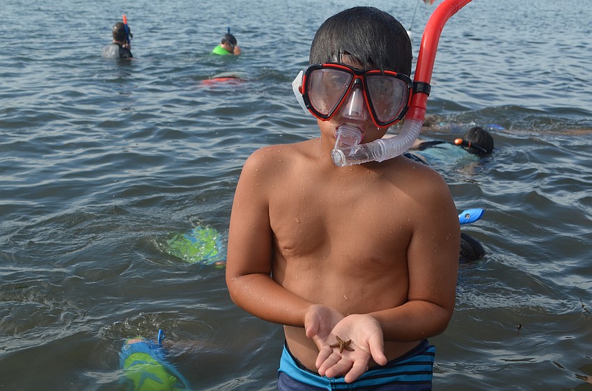 Kian Ahmadi, 10, holds a starfish he found while snorkeling.