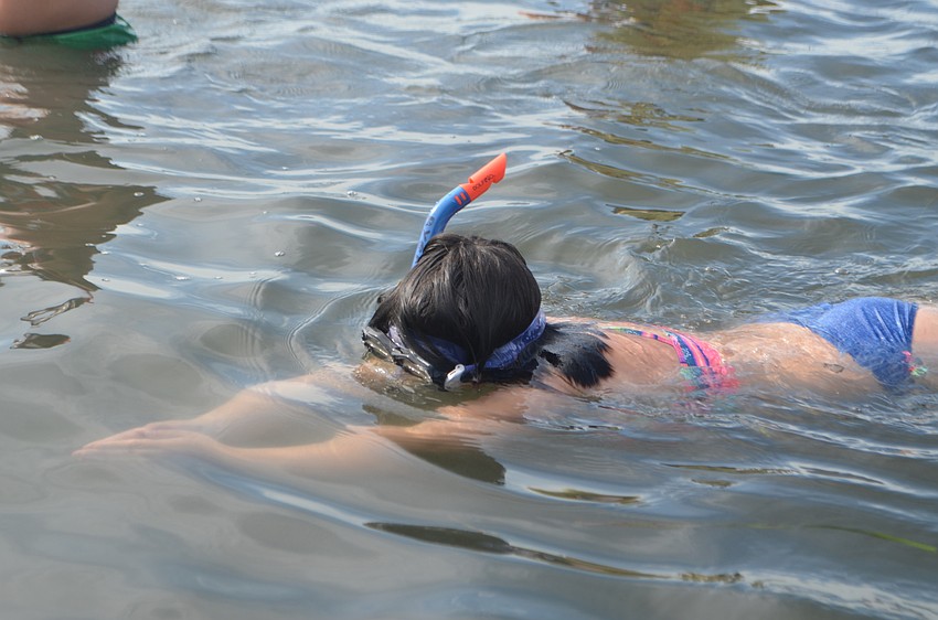 Satya Byers, 10, snorkels during one of Mote’s various summer camps.