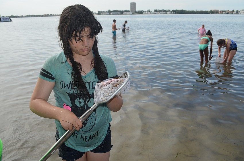 Shoshannah Byers, 10, looks at what she caught while skimming the bay.