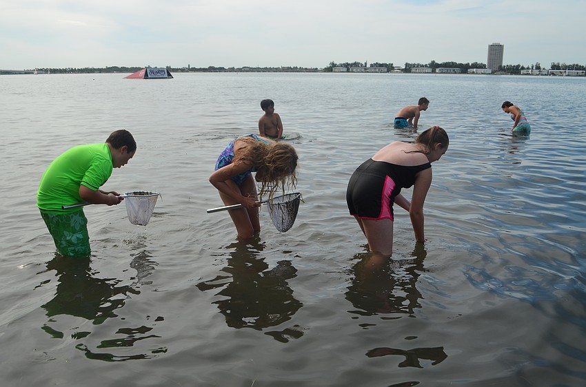 Cooper Couden, 12, Erin Kohler, 12, and Jordan Roche, 12, explore the bay while skimming the water.