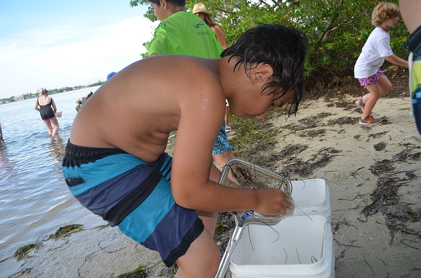 Kian Ahmadi, 10, empties his net into a bucket so other campers can see what he caught.