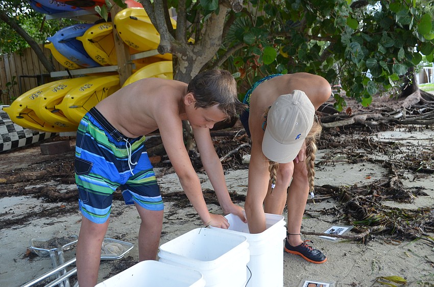 Sterlin Mullins, 10, and intern Meg Simon check out the marine wildlife campers found while skimming the bay.