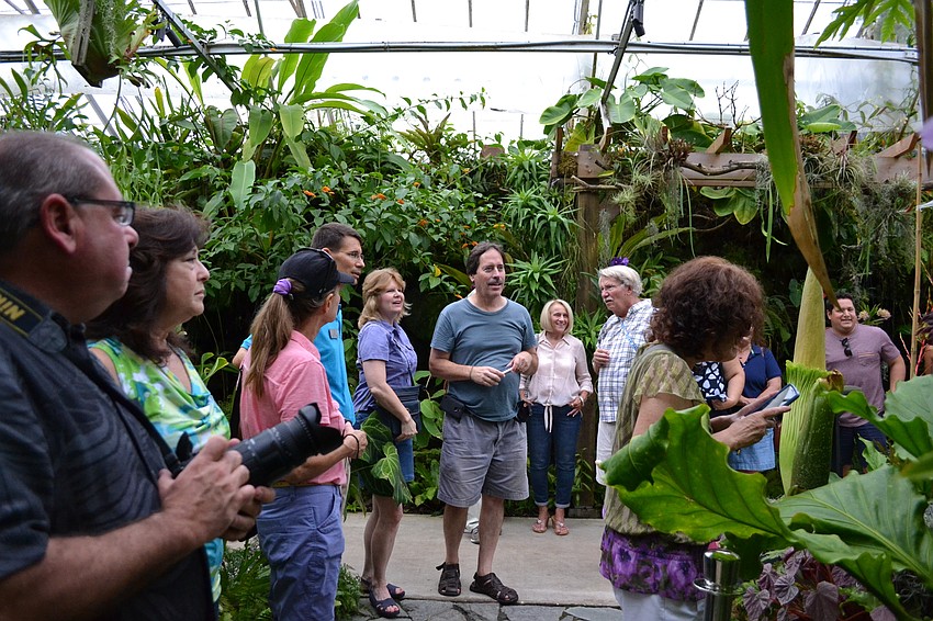 Crowds gathered to breathe in Seymour the corpse flower in the conservatory at Marie Selby Botanical Gardens.
