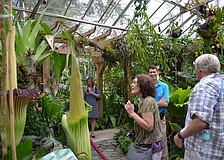 Madelaine Ruhl gets close to photograph the corpse flower Seymour.