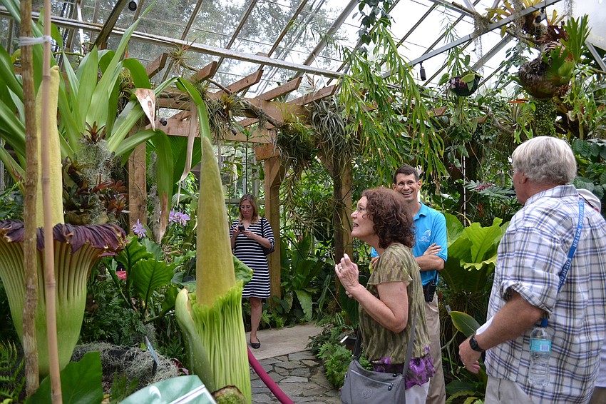 Madelaine Ruhl gets close to photograph the corpse flower Seymour.