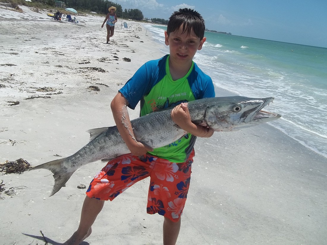 Alex Greenberg, 9, caught this barracuda off the shore on July 7.