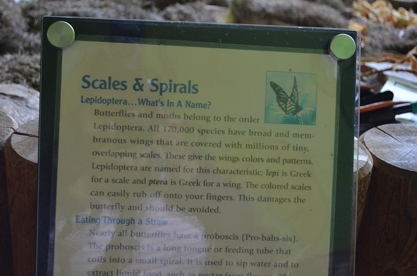 GWIZ sold most of its property at auction, but some pieces went unclaimed and have been left behind.