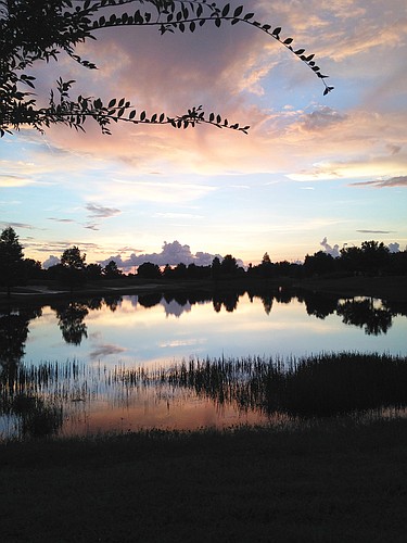 Pamela Williams captured this evening reflection at Lakewood Ranch Country Club East.