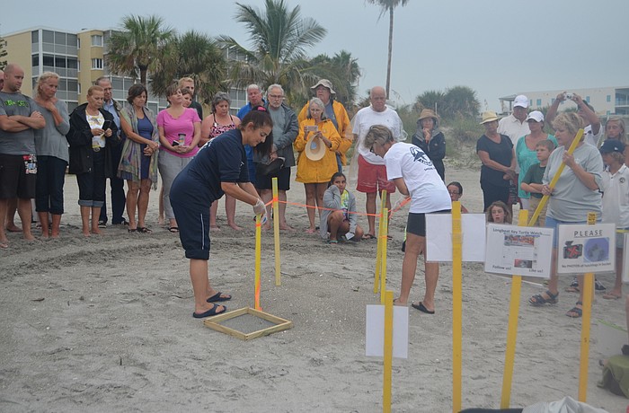Sara Heuer and JoAnn Mancuso begin to excavate the first nest of the season. The nest held 86 eggs, five of which didn't survive.