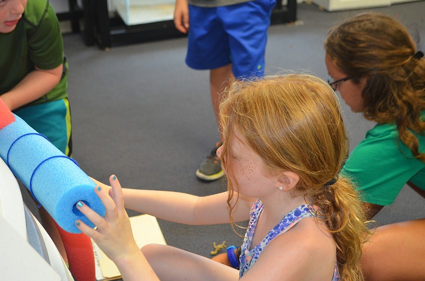 Grace Conron, 8, hangs her staghorn coral on the mock coral tree.