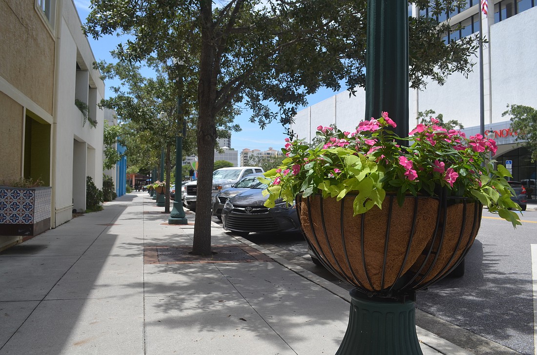 Flower baskets line the light poles in the 1600 block of Main Street in downtown Sarasota.