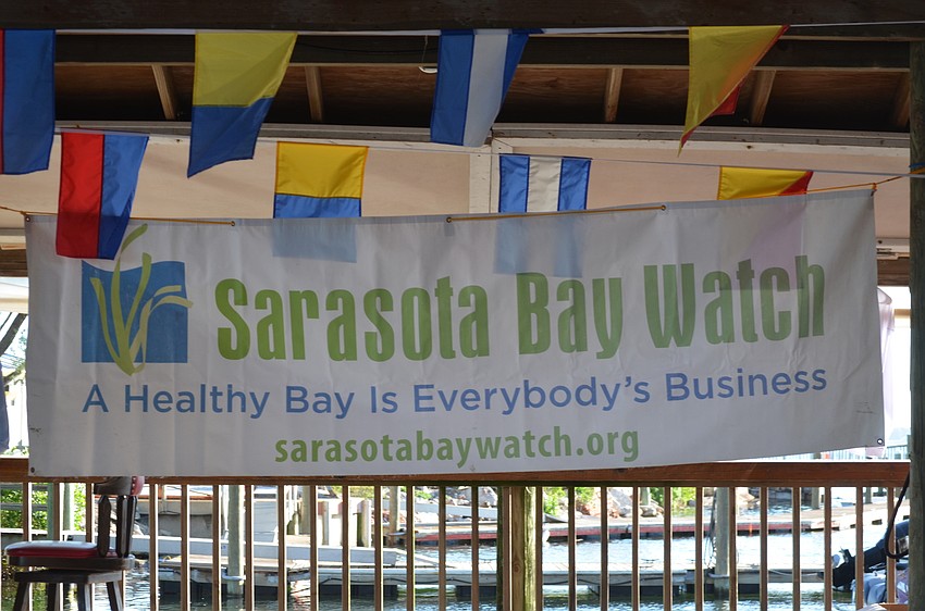 The Sarasota Bay Watch held its 9th annual Scallop Search on Aug. 13.