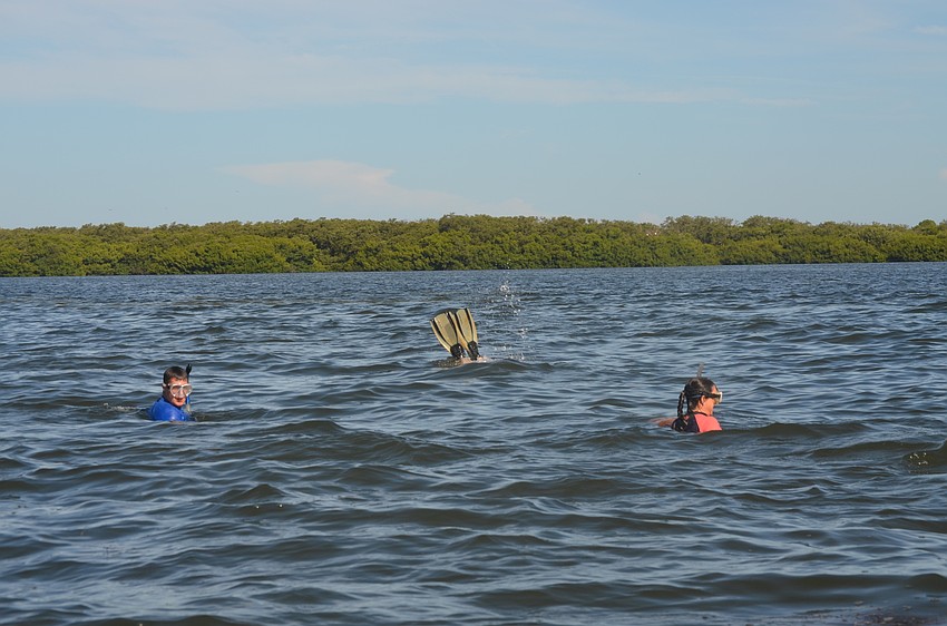 David Campbell and Jennifer Schafer search for scallops.