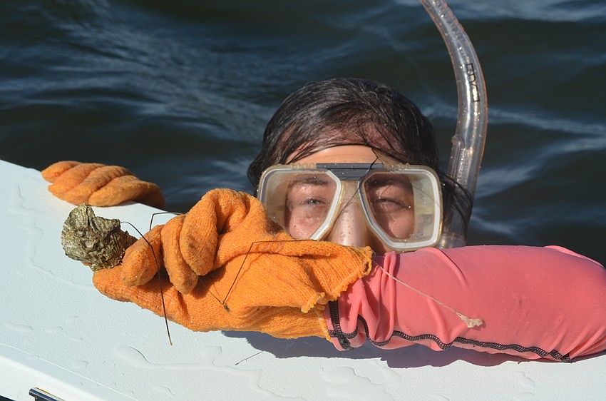 Jennifer Schafer holds a scallop shell she found.