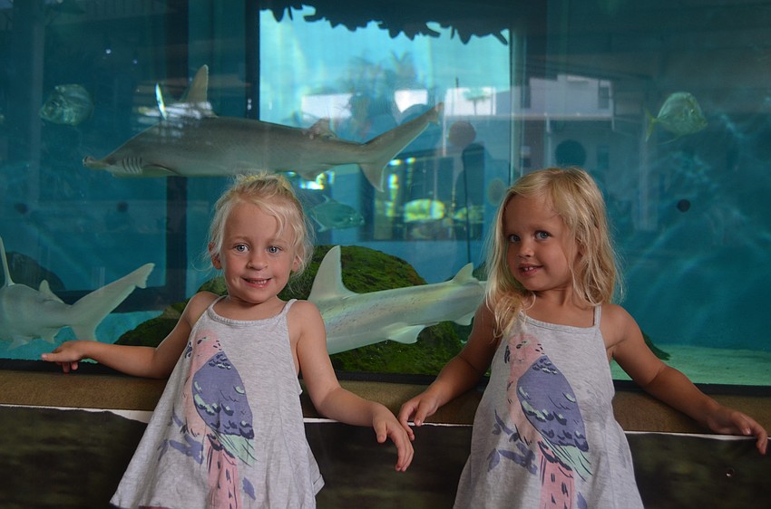 Twins Hannah and Grace Karsten, 3