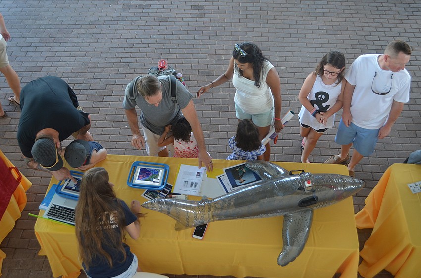 Tables were set up around Mote to teach guests more about the shark species.
