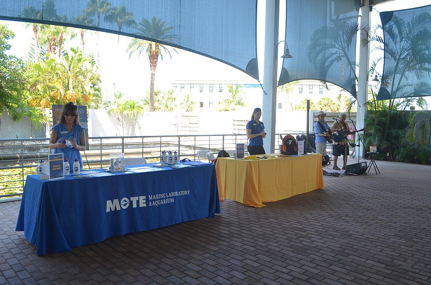 Tables were set up around Mote to teach guests more about the shark species.