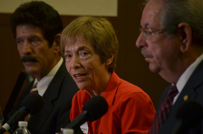 Nora Patterson cited her diverse career history, combined with her experience on both the city of Sarasota Commission and the Sarasota Commission as credentials for the position of State Senator.
