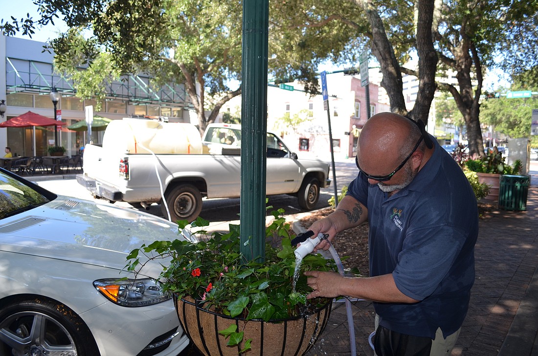 Plant Parents employee Mark Miller waters a flower basket on Main Street. Maintenance is one of the primary expenses associated with the Downtown in Bloom project.
