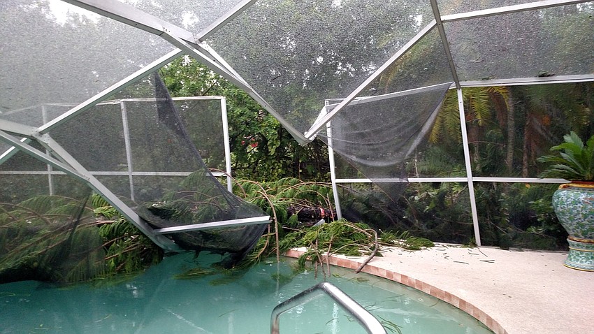 Carol Erker, immediate past president of the Longboat Key Rotary Club, shared a photo of a large Norfolk Island pine, which crashed through her pool enclosure in the  600 block of  Buttonwood Drive at 6:30 a.m. Friday.