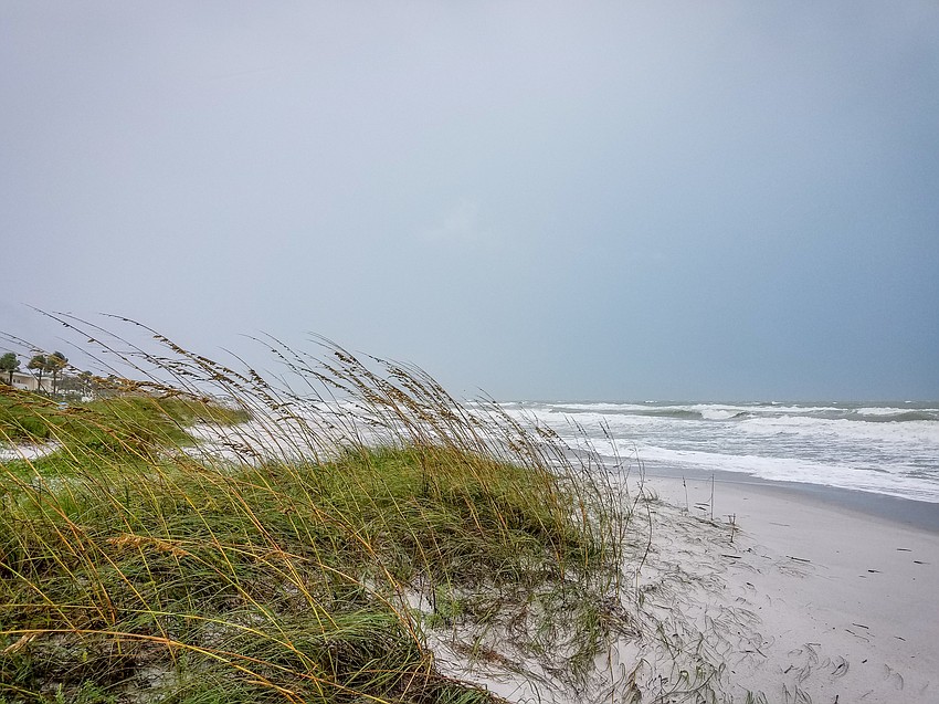 Photo courtesy of Longboat Observer reader Zedex Honea taken at the Westchester Condominiums on Longboat Key after Hurricane Hermine dumped between six and nine inches of rain on the island.