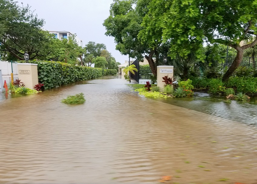 Photo courtesy of Longboat Observer reader Zedex Honea taken at the Westchester Condominiums on Longboat Key after Hurricane Hermine dumped between six and nine inches of rain on the island.