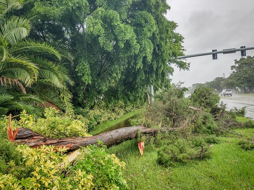 Photo courtesy of Longboat Observer reader Zedex Honea taken on Longboat Key.