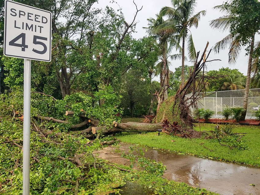 Photo courtesy of Longboat Observer reader Zedex Honea taken on Longboat Key.