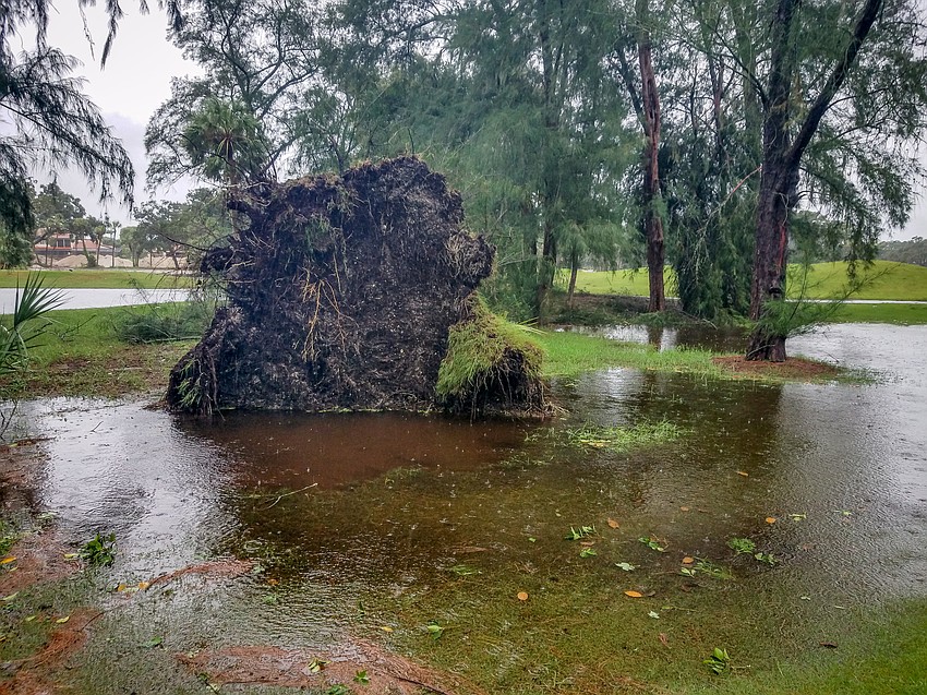 Photo courtesy of Longboat Observer reader Zedex Honea taken on Longboat Key.