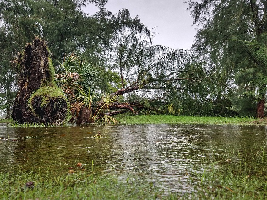 Photo courtesy of Longboat Observer reader Zedex Honea taken on Longboat Key.