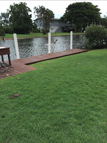 This photo taken by Observer reader Darcy Spiekhout at 1 p.m. on Friday shows Longboat Key canal after the island was battered by Hurricane Hermine's outer bands Thursday night and into Friday morning.